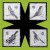 Purchase Birds Mp3