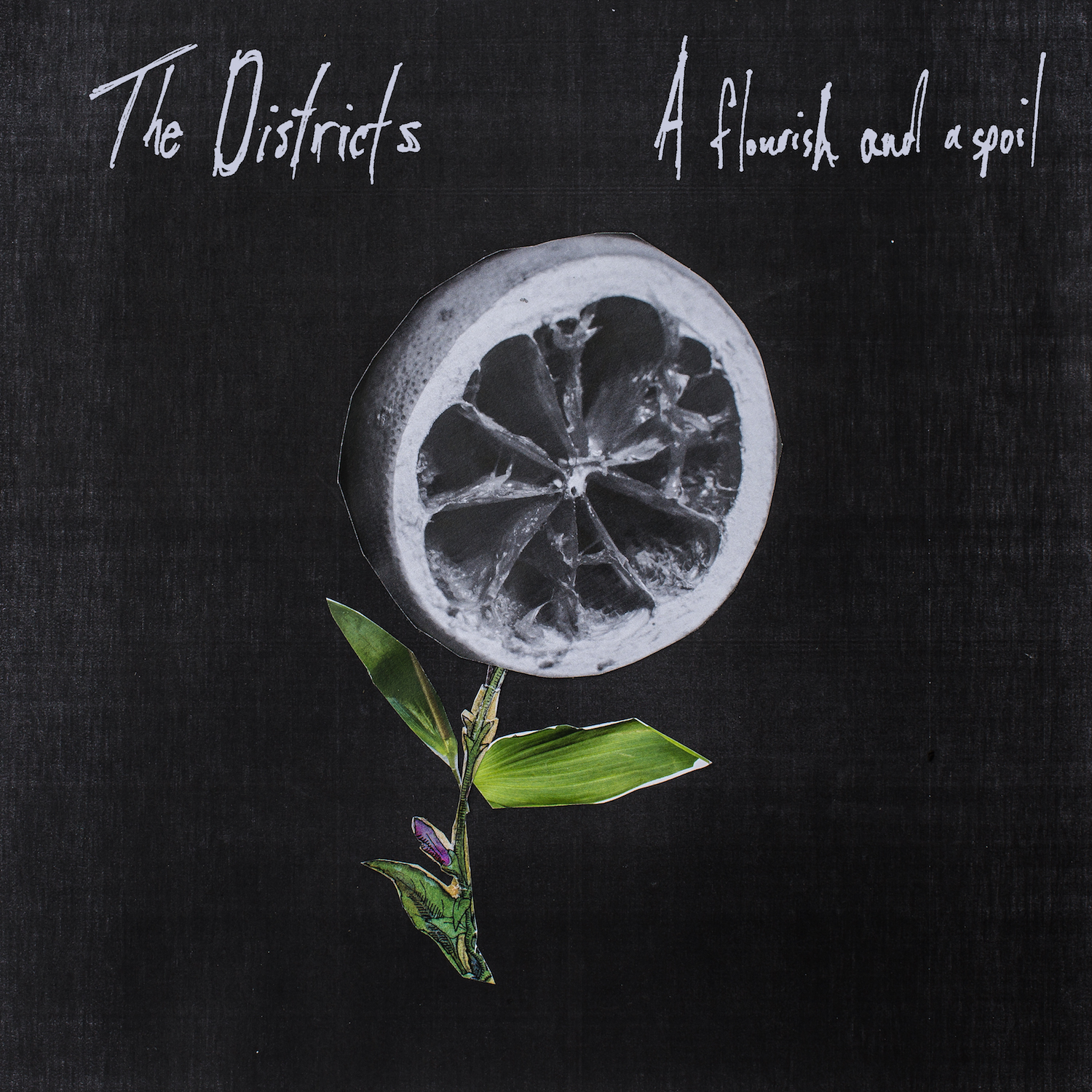 A Flourish And A Spoil 2015 Alternative The Districts Download